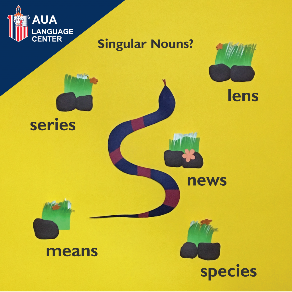 singular-nouns-that-end-in-s-aua-language-center